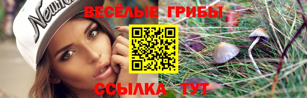 Галлюциногенные грибы Psilocybine cubensis  Вход с VPN  Шарыпово  закладки  Галлюциногенные грибы мухоморы 